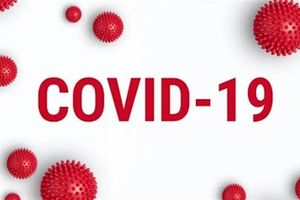 Могут ли биодобавки защитить от инфекции Covid-19? фото