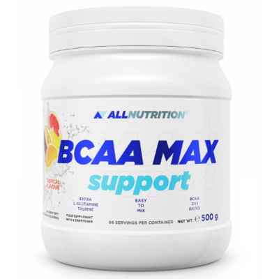 BCAA Max Support - 500g Orange 100-90-1205808-20 фото