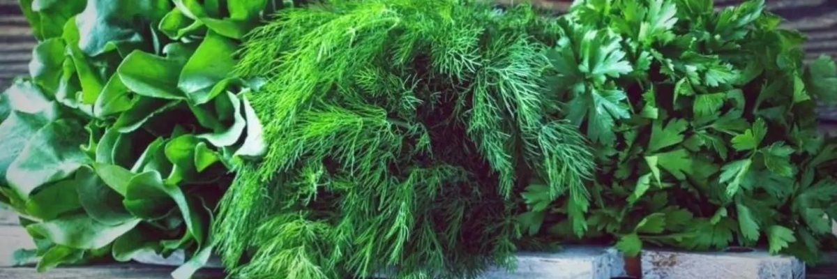 Super Greens: польза зелени в рационе фото