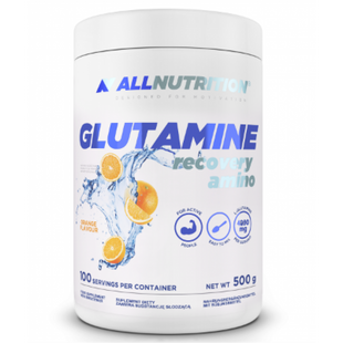 Glutamine - 500g 100-71-4064882-20 фото