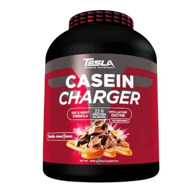 Casein Charger - 1000g 2022-09-0425 фото