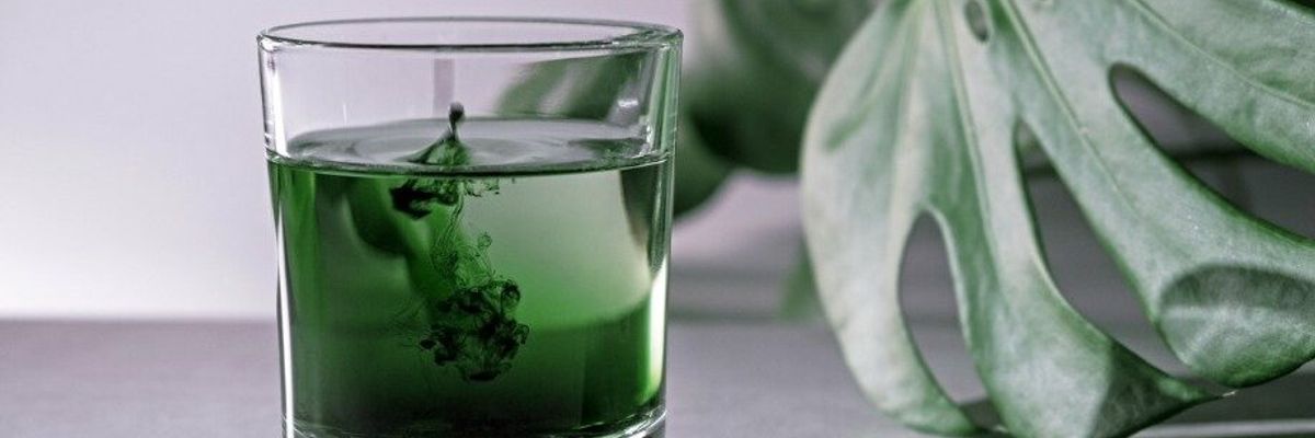 Зелений секрет здоров'я: вся правда про хлорофіл фото