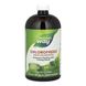 Chlorofresh® Liquid - 16 oz Mint 2023-10-2173 фото 1