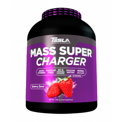 Mass Super Charger - 4540g Cookies Cream 100-65-8543102-20 фото
