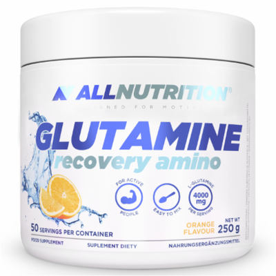 Glutamine Recovery Amino - 250g 100-43-1965107-20 фото