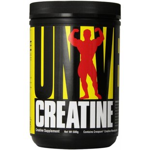 Creatine Micronized - 300g 100-73-0295224-20 фото