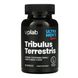 Tribulus Terrestris - 90 caps 2022-10-0281 фото 1