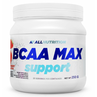 Комплекс амінокислот, BCAA Max Support - 250g Black curant 100-29-3636490-20 фото