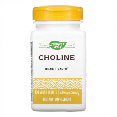 Choline 500 mg - 100 tabs 2022-10-1077 фото