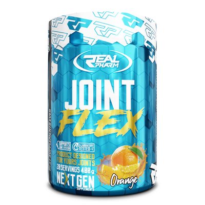 Joint Flex - 400g Bluberry 100-87-8181503-20 фото