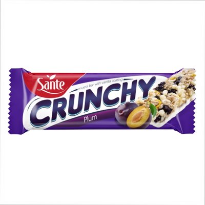 Crunchy bar - 25x40g Plums and Vanilla 2022-10-0966 фото
