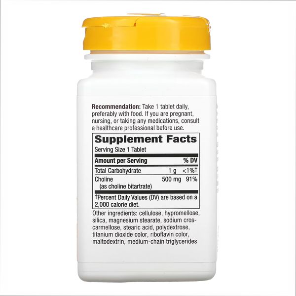 Choline 500 mg - 100 tabs 2022-10-1077 фото