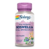 Екстракт Босвелії, Solaray Boswellia Resin Extract 450mg - 60 vcaps 2023-10-2145 фото